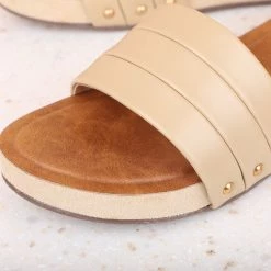 Inc.5 SMALL PLATFORM MULES Inc5