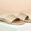 Inc.5 FLAT MULES SALE